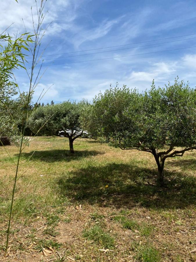Chalet Des Oliviers 20Mn Des Plages Climatise Μπεζιέ Εξωτερικό φωτογραφία